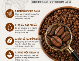 NHỮNG LỜI KHUYÊN KHI CHỌN CÀ PHÊ HẠT – CÁCH CHỌN HẠT TO CHẮC CHẤT LƯỢNG