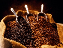 CÙNG THIÊN QUÂN COFFEE THƯỞNG THỨC HƯƠNG VỊ ĐẶC TRƯNG CỦA QUÊ HƯƠNG CÀ PHÊ ETHIOPIA