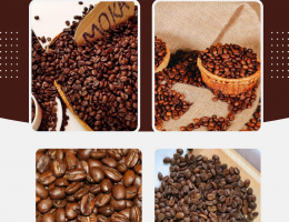 Hạt Moka – Dòng cà phê cao cấp được ưa chuộng trên thị trường