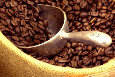 >CÙNG THIÊN QUÂN COFFEE TÌM HIỂU VỀ LOẠI CÀ PHÊ ROBUSTA ĐƯỢC MỆNH DANH LÀ LINH HỒN CÀ PHÊ VIỆT
