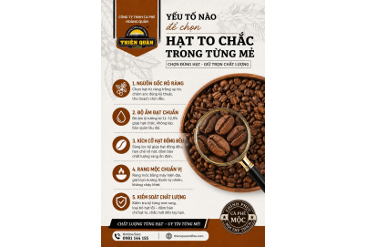 NHỮNG LỜI KHUYÊN KHI CHỌN CÀ PHÊ HẠT – CÁCH CHỌN HẠT TO CHẮC CHẤT LƯỢNG